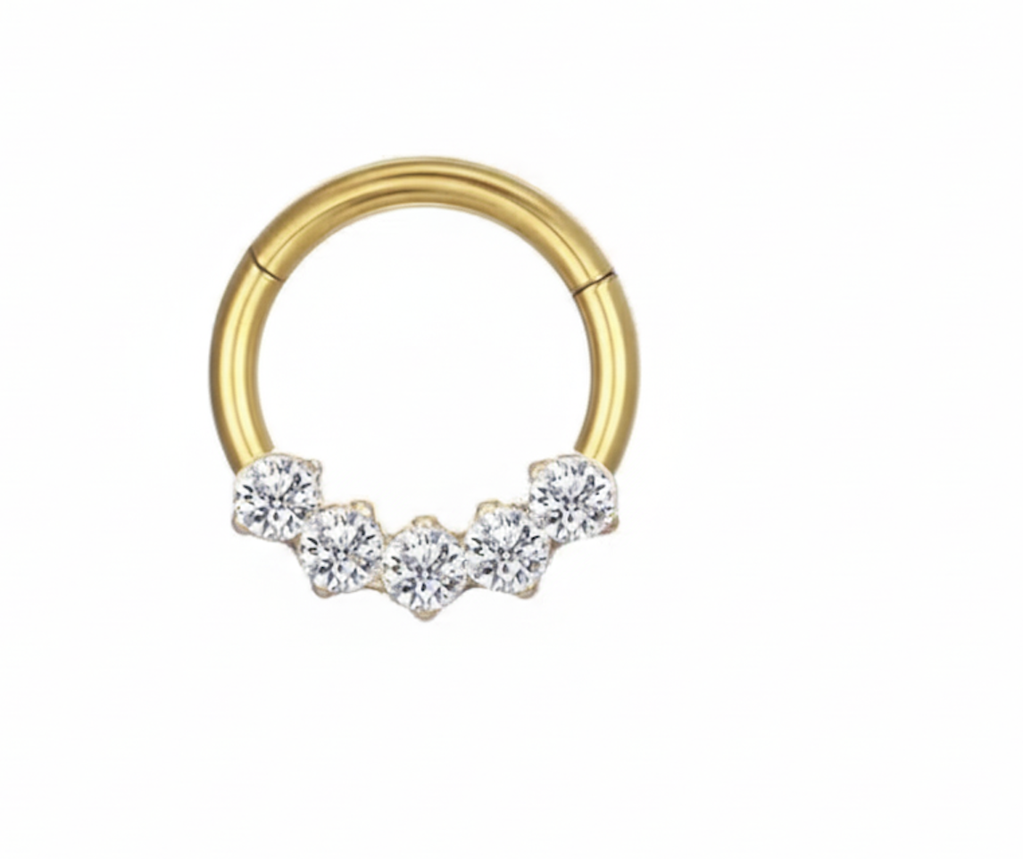 Piercing Argola Aço Cirúrgico 5 Zircônias Cravejada Cod 9636