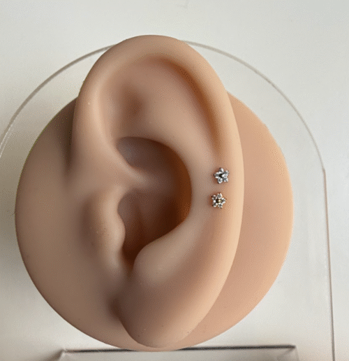 Flor 5 zircõnias Cod 4746 4747