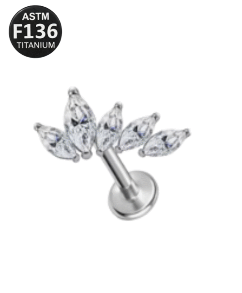 Cluster 5 Pedra Ziconia  Irregular cod TC8120