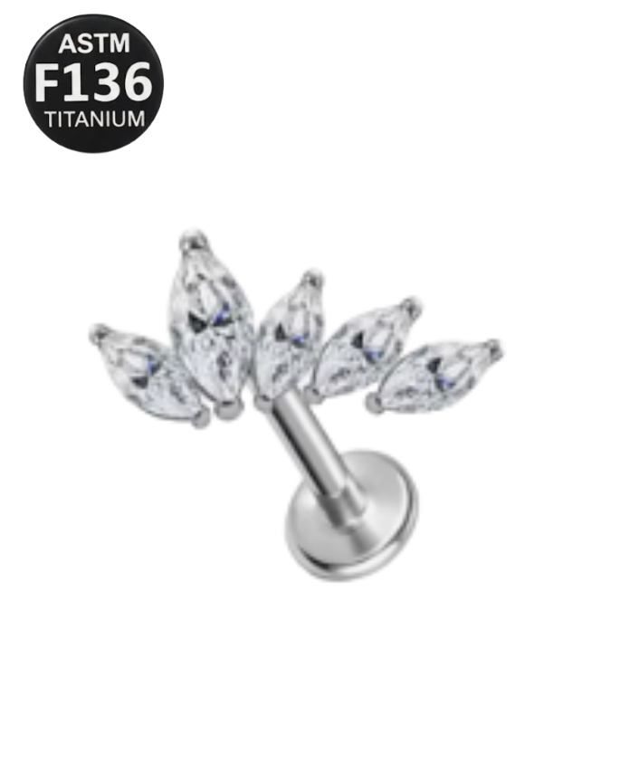 Cluster 5 Pedra Ziconia  Irregular cod TC8120